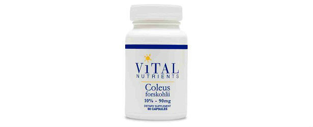 Vital Nutrients Coleus Forskolin Review